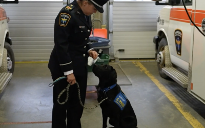 CTV: Meet Thorin the dog, the newest Yukon EMS employee